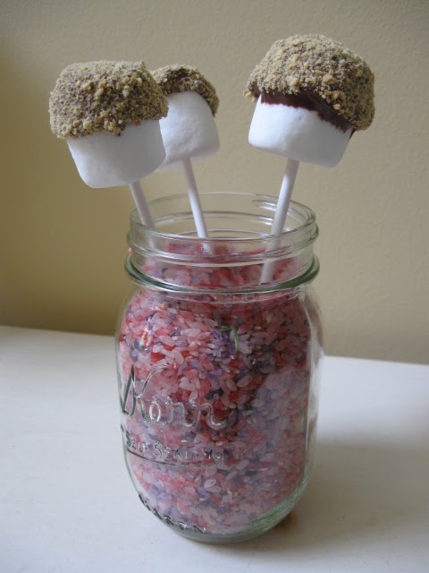 smores, s'mores, smores on a stick, s'mores on a stick, craft, tutorial, snack, easy, fun