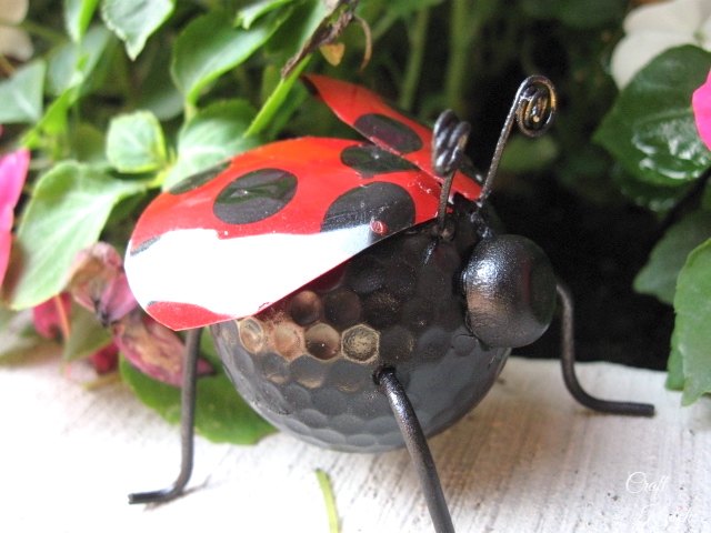 Completed ladybug with flowers behind