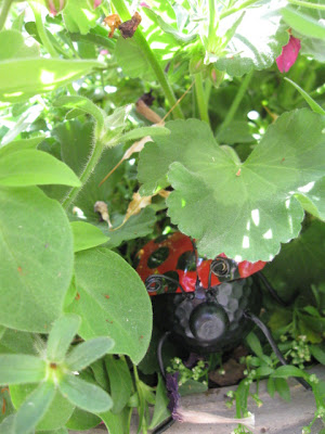 Ladybug peeking out from plants in garden