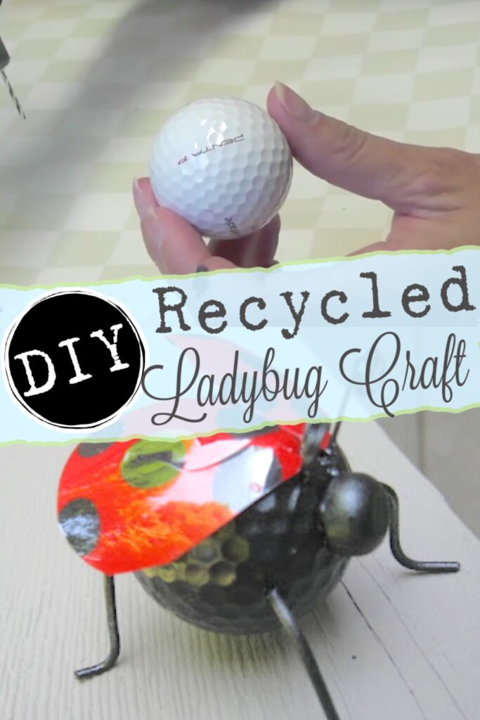 DIY recycled ladybug craft using recycled items