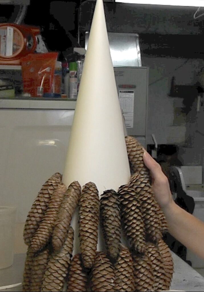 Glue pine cones onto the cone
