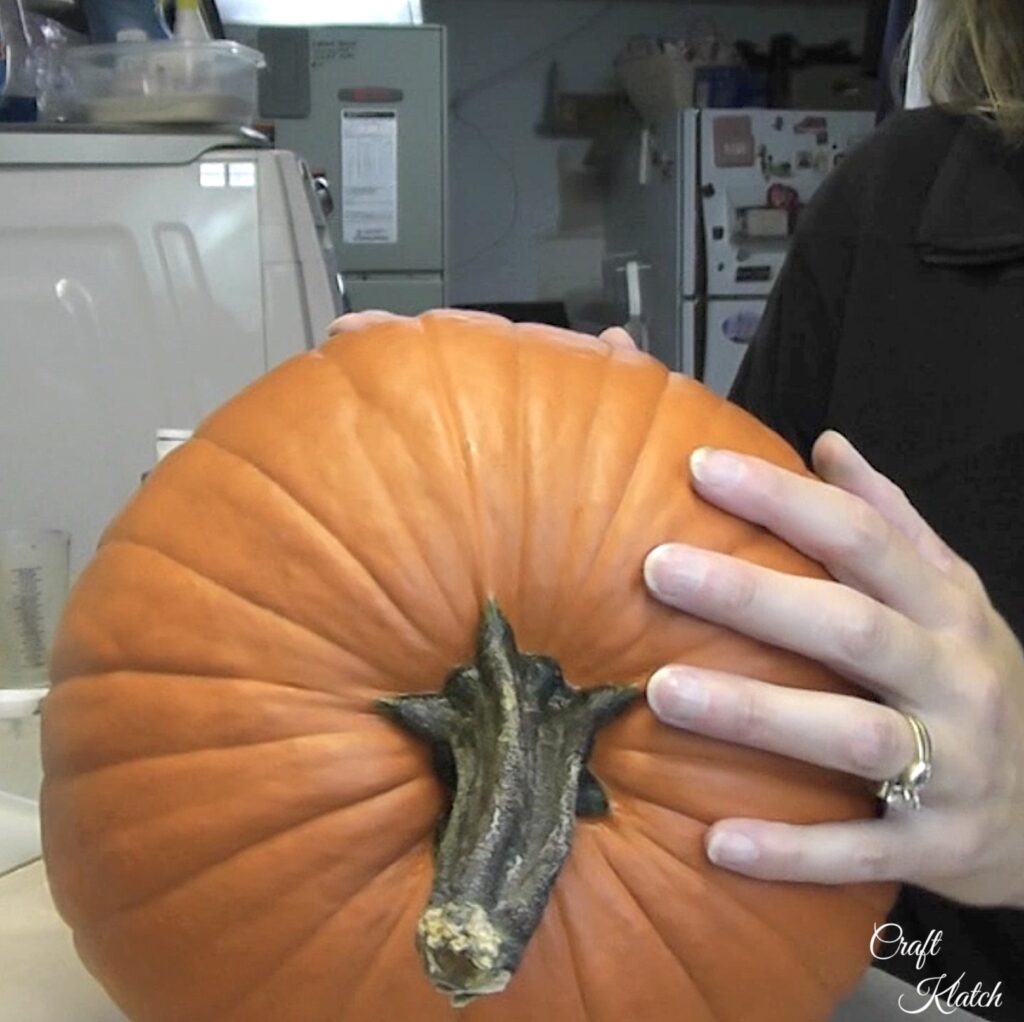 Pumpkin laying on it's side to become a painted pumpkin witch
