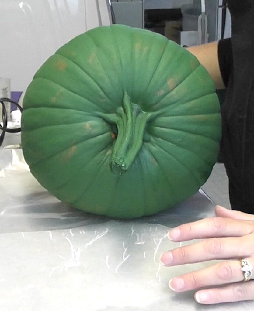 Pumpkin laying on its side painted green