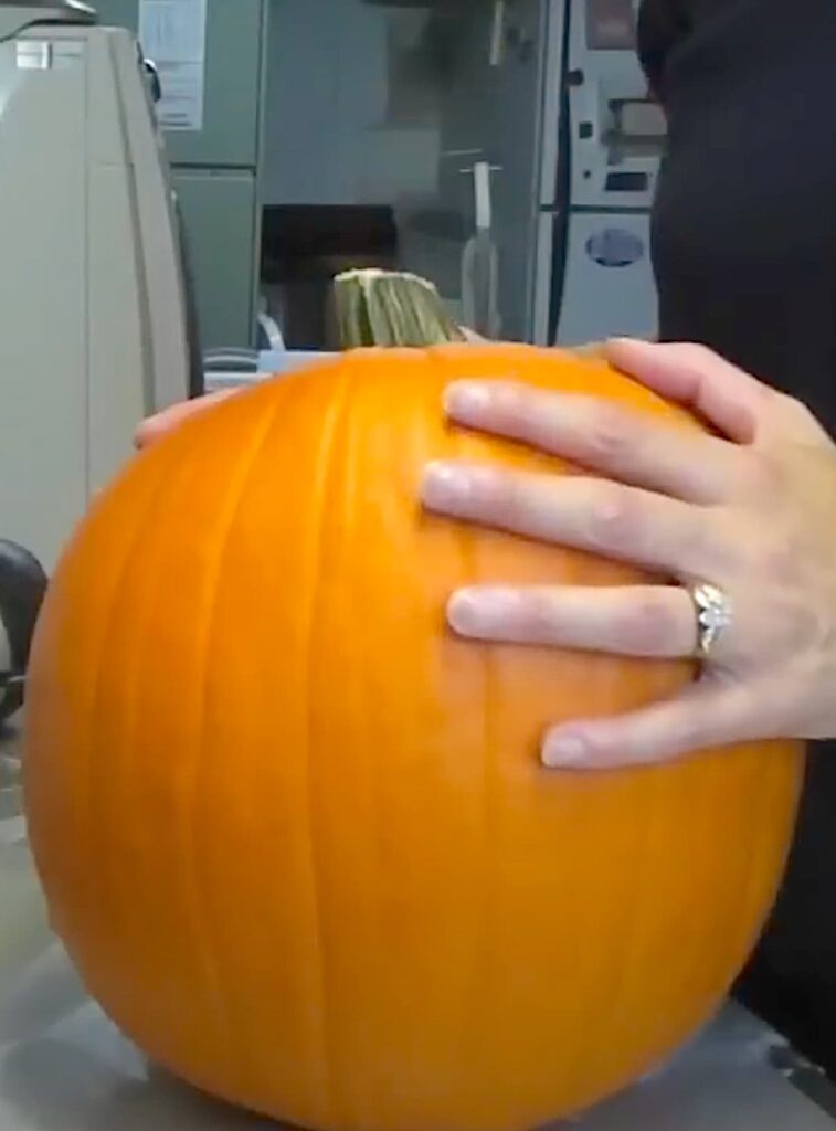 Holding an orange pumpkin