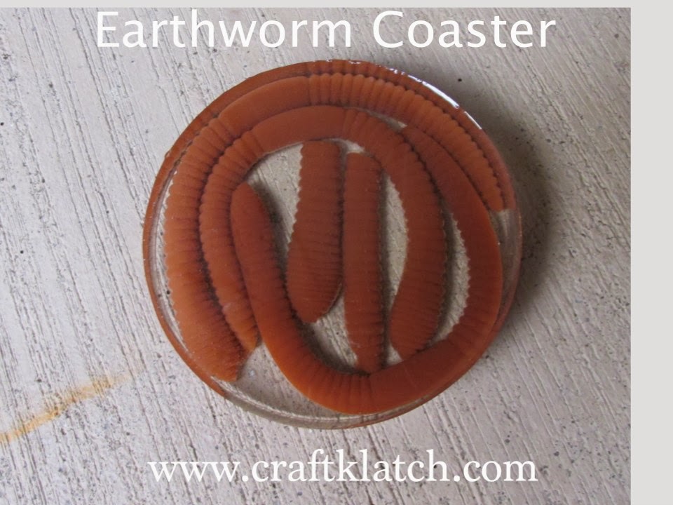 worm, worms, earthworm, earthworms, coaster, craft, crafts, crafting, craft ideas, halloween, halloween crafts, halloween craft ideas, craftklatch, craft klatch