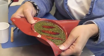 Learn how to make Chili Pepper and Mung Bean Resin Coasters. | chili peppers | mung beans | food | food coasters | resin | resin crafts | resin coasters | resin diy | drink coasters | resin projects | #diy #chilipeppers #mungbeans #naturalfoods #homemade #homedecor | home decor