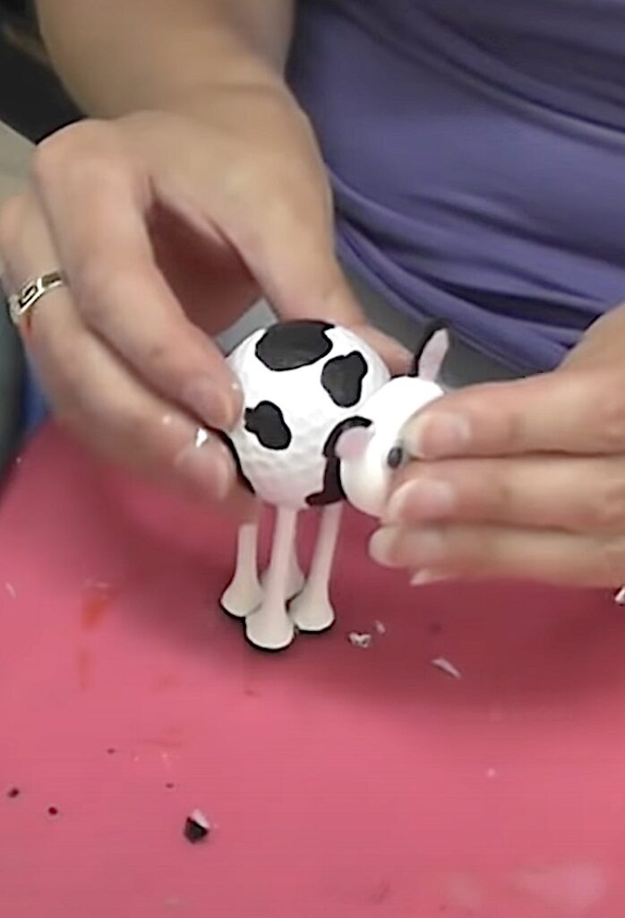 Glue cow head to the body