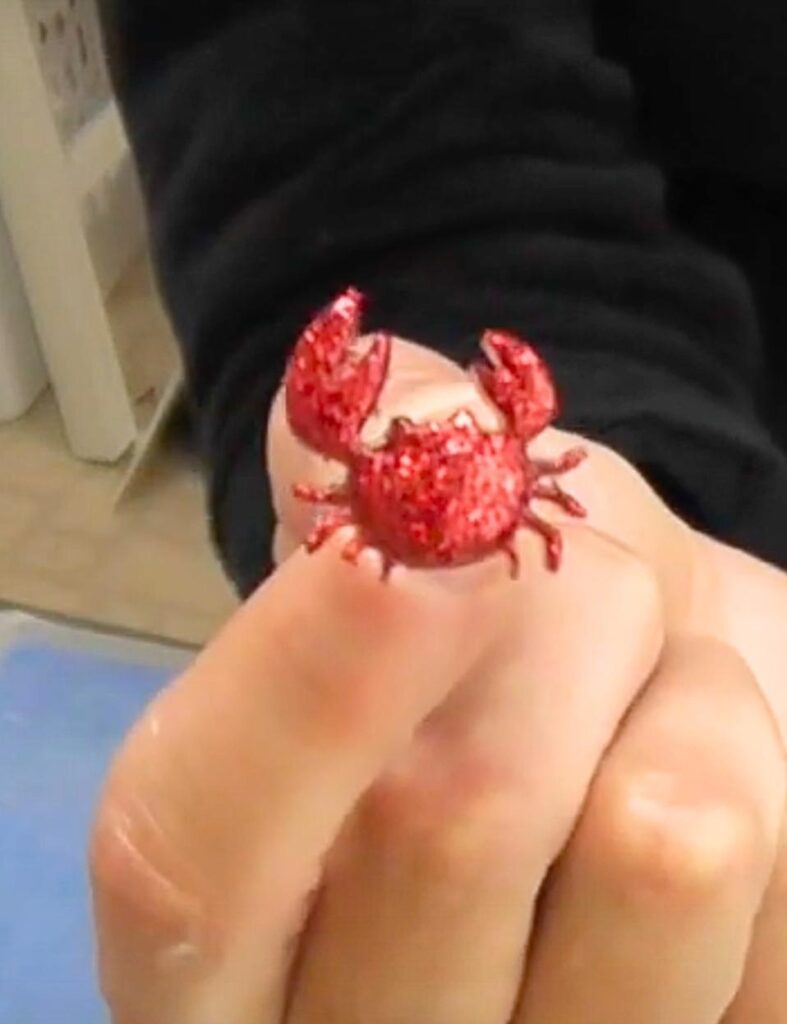 Holding the crab ring crab craft