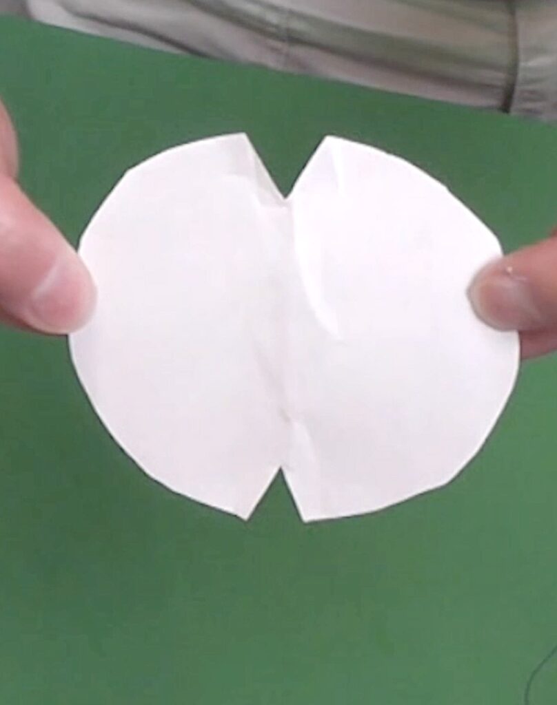 Draw and cut out a turtle shell templete | an oval with two triangles cut out on either side of the edge