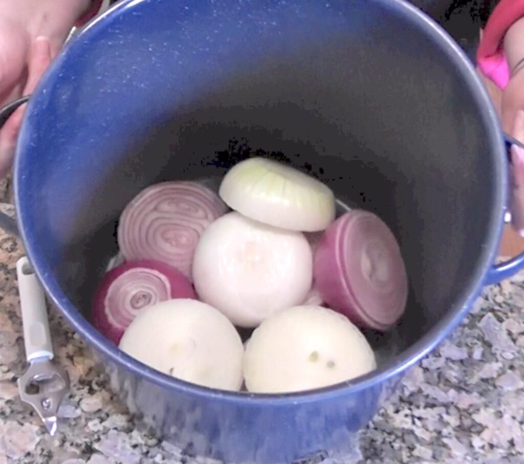 Onions sliced and in a big pot