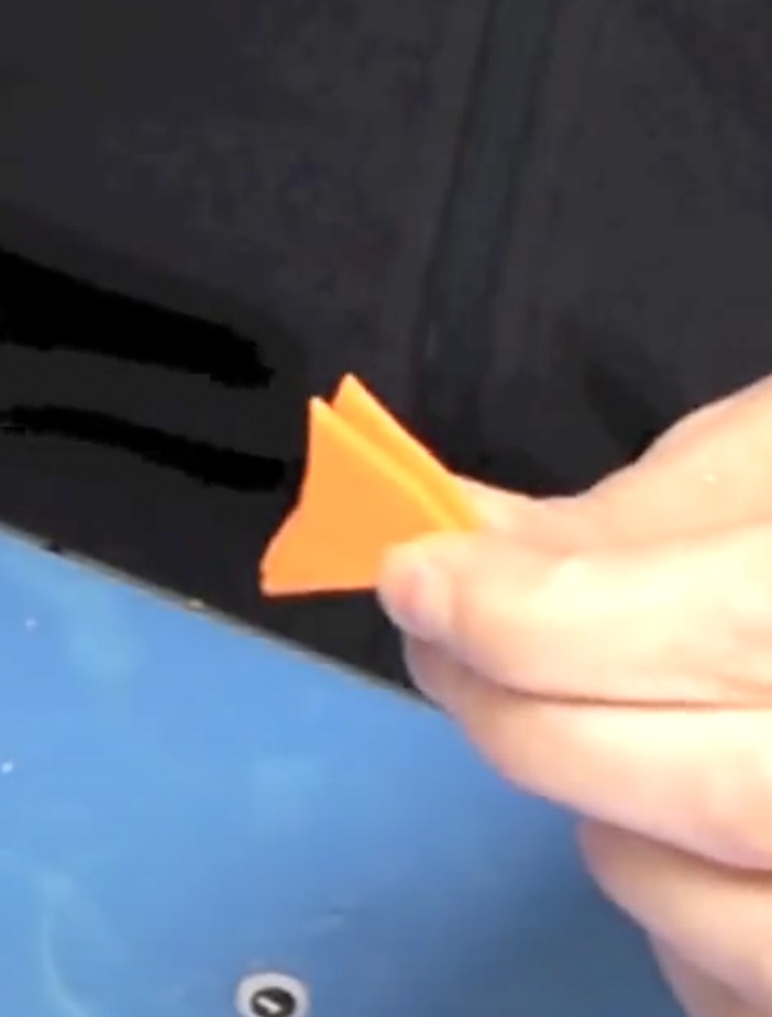 Cut fish fins out of orange craft foam