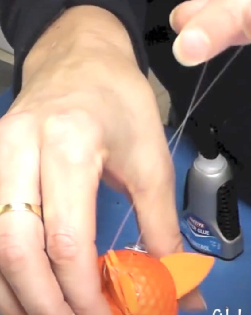 string fishing line through goldfish fins