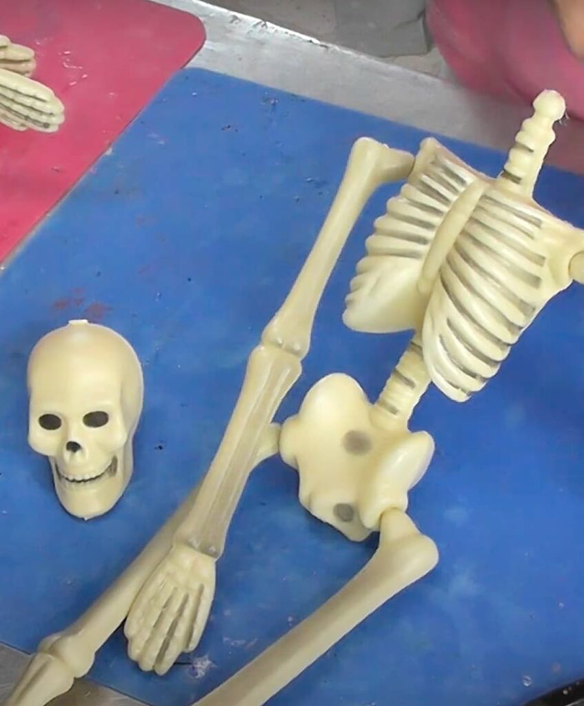 Plastic skeleton with the skull removed