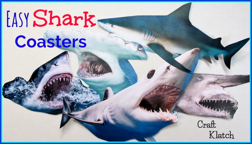 Easy shark coasters