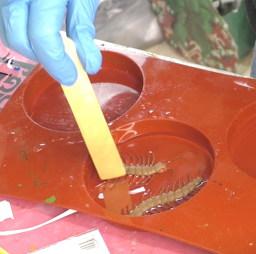 Move bugs around in the resin with stir stick