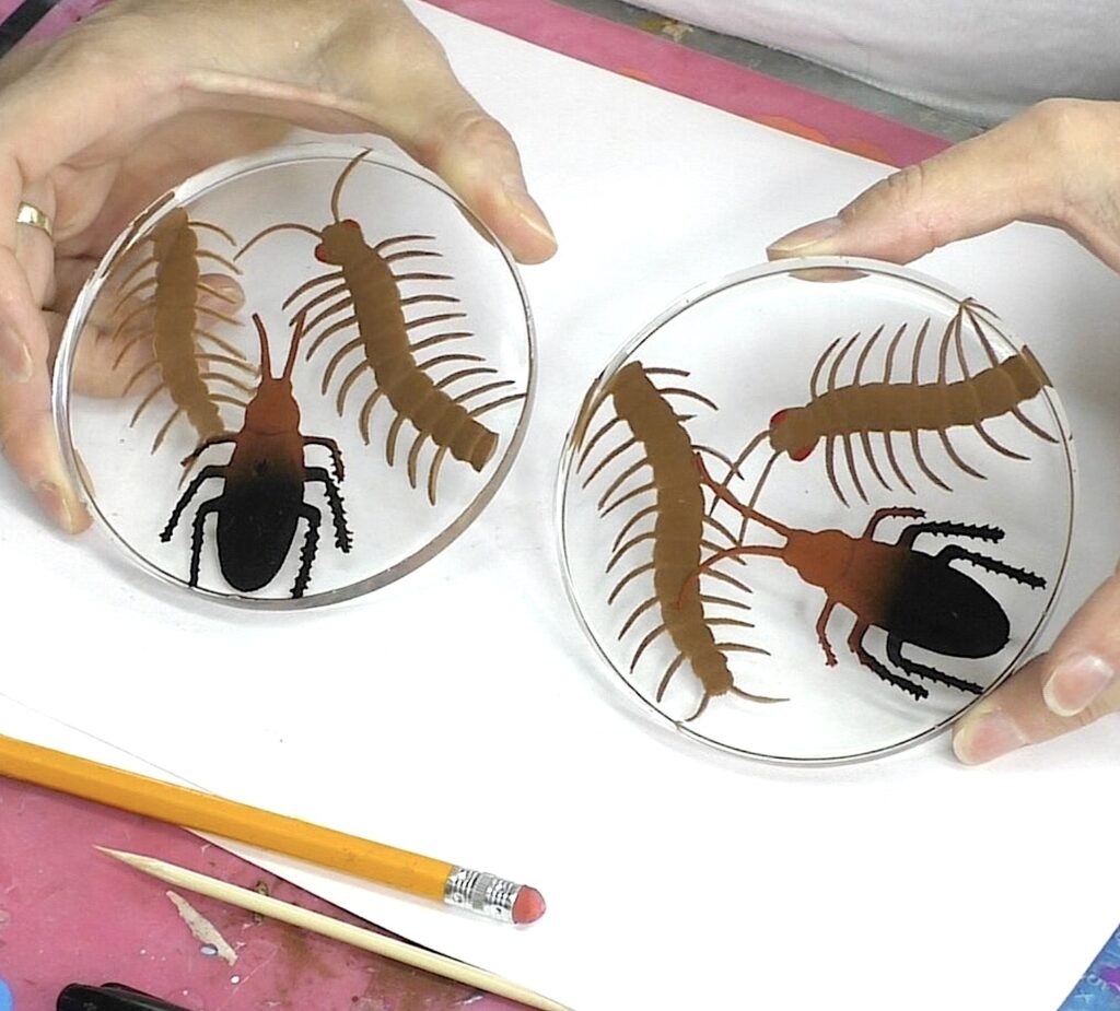 completed creepy bug coasters