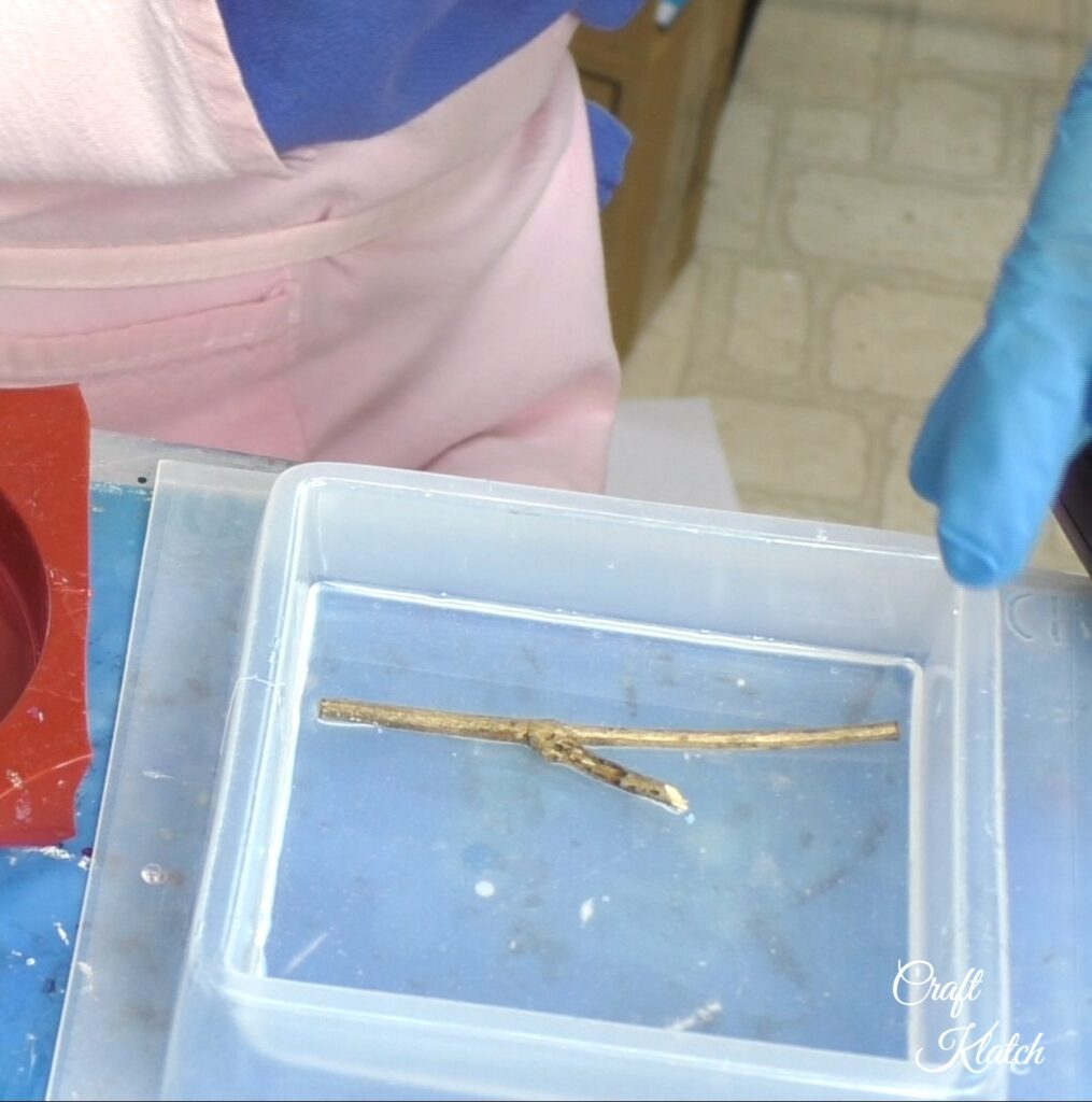 Place twig into the resin in the coaster mold