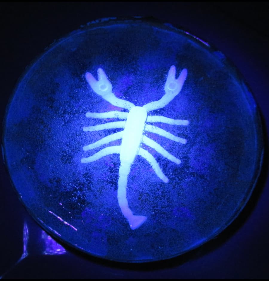 Glow in the dark resin coaster with a glowing scorpion