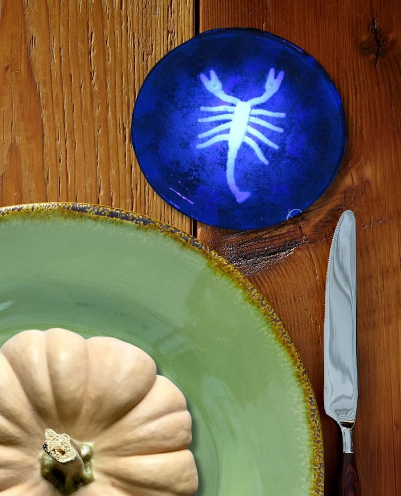 Finished scorpion drink coaster