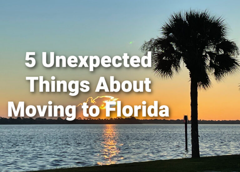 5 unexpected things about moving to florida palm tree with sunrise in background overlooking river