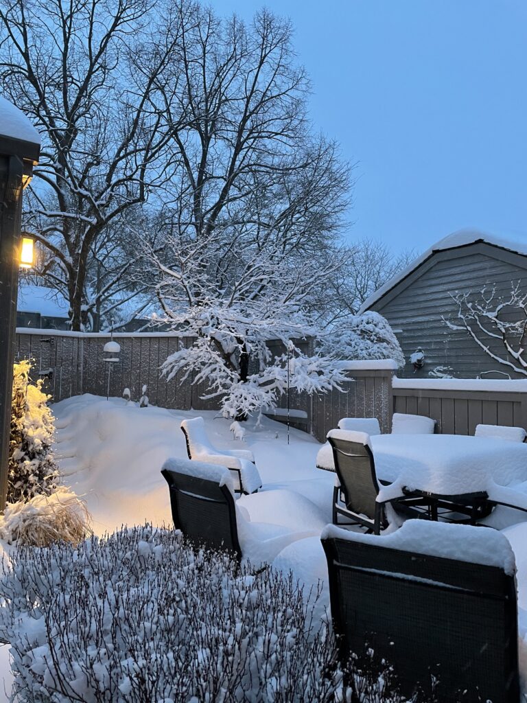 Snowy courtyard making me want to move to Florida!