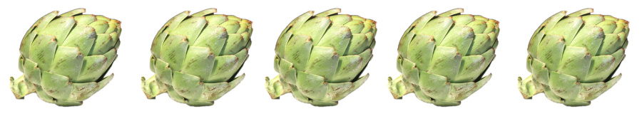 artichoke banner