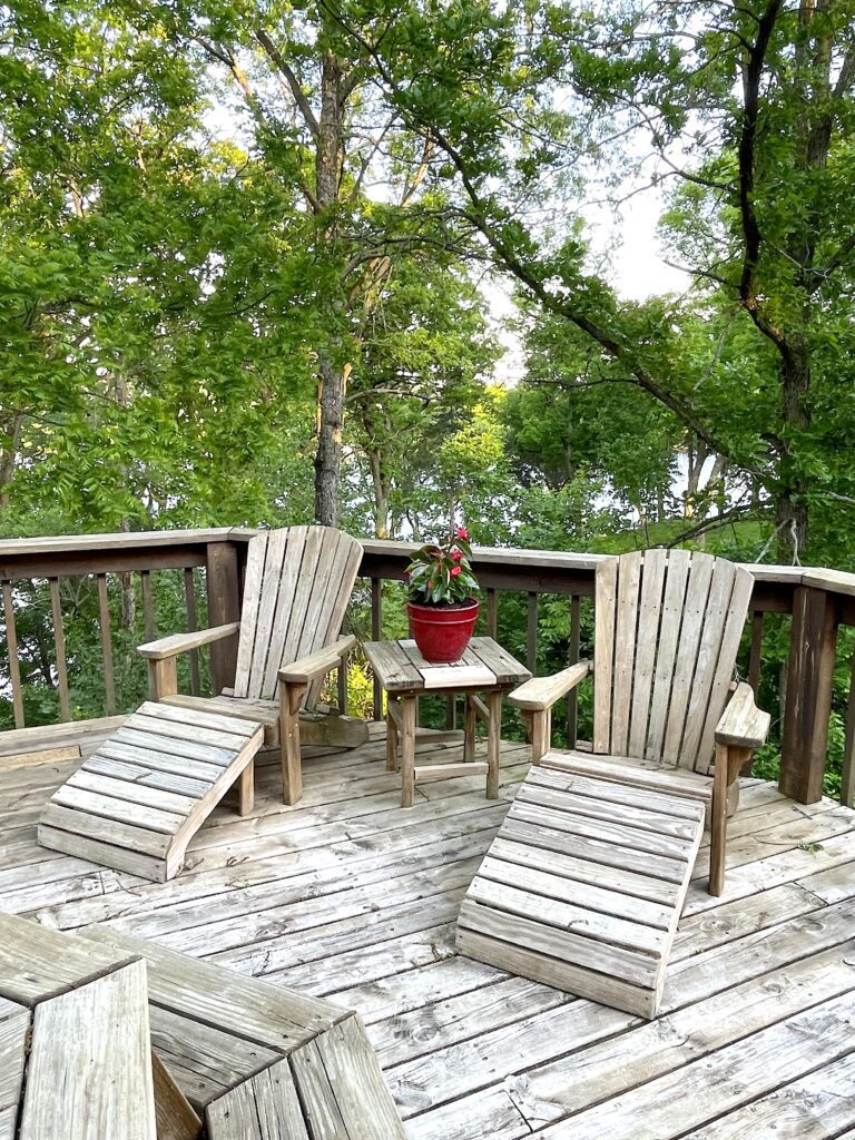 Angelwing begonias with adorandack chairs