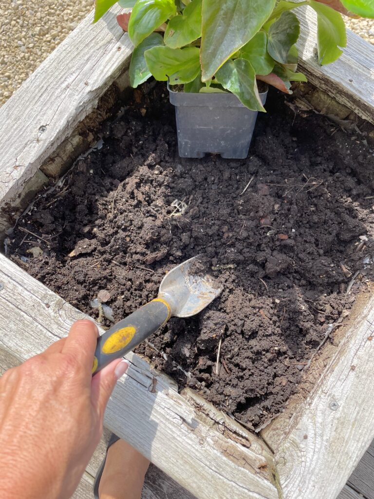 Rough up dirt in flower planter