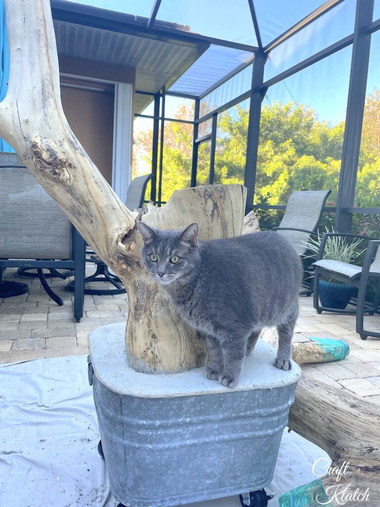 Grayson sitting on the base of the cat tree DIY