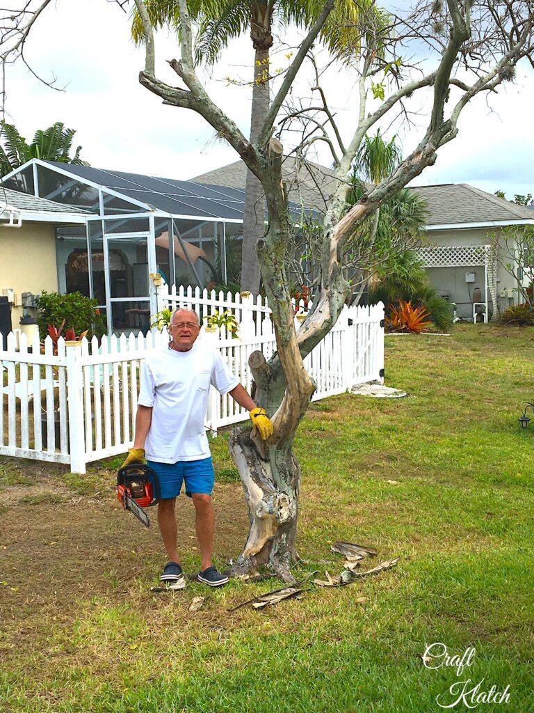 Greg with chainsaw ready to cut down dead orange tree for Cat Tree DIY
