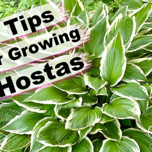 Best Golf Ball Resin Lamp DIY With Video Tutorial Craft Klatch