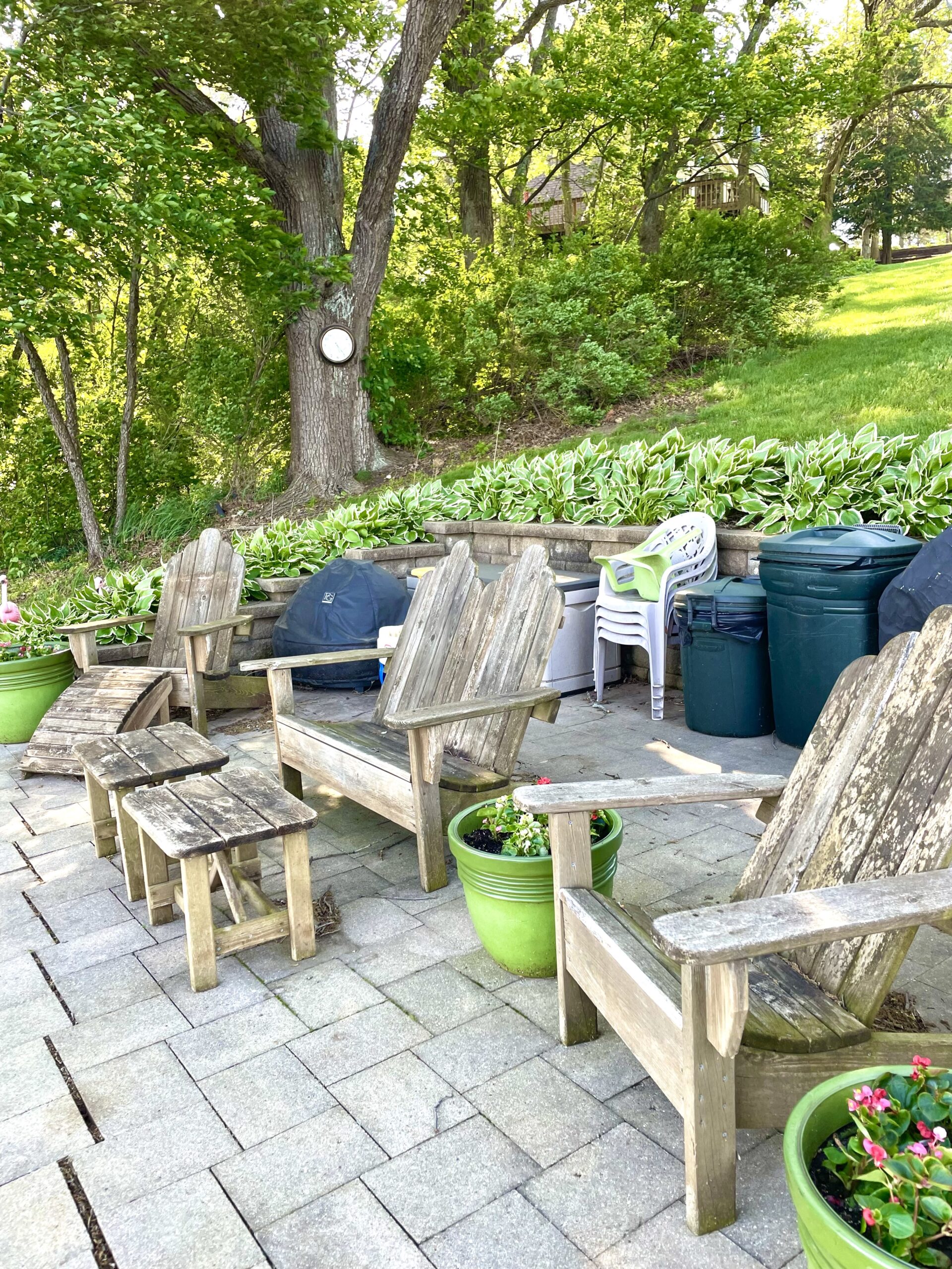 Hostas on training wall by patio