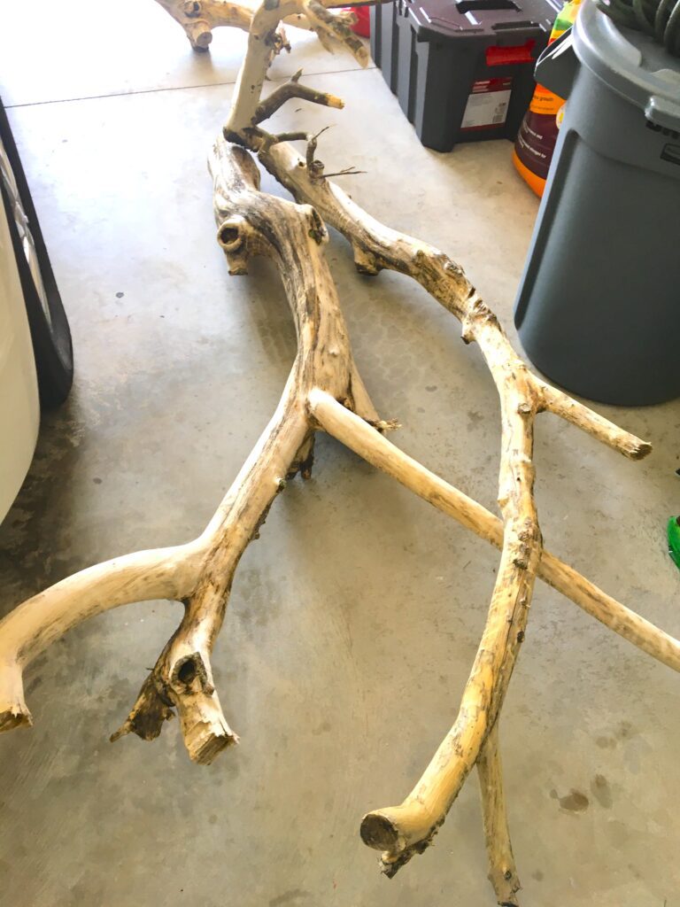 Tree limbs for cat tree diy that looks like a real tree