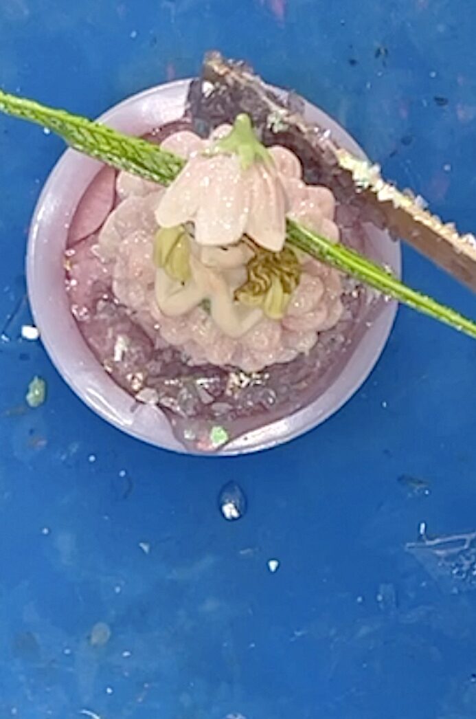 Pile the glass and resin mixture of the base of the lid of the tooth fairy jar