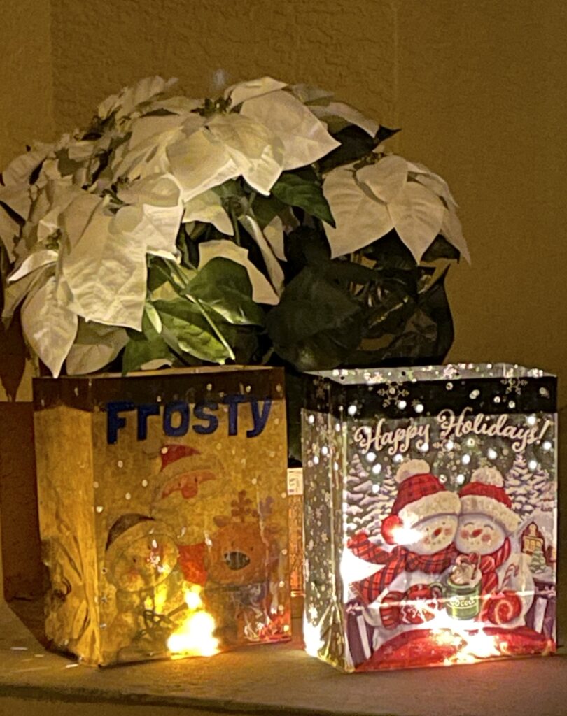 Dollar tree gift bag Christmas luminary