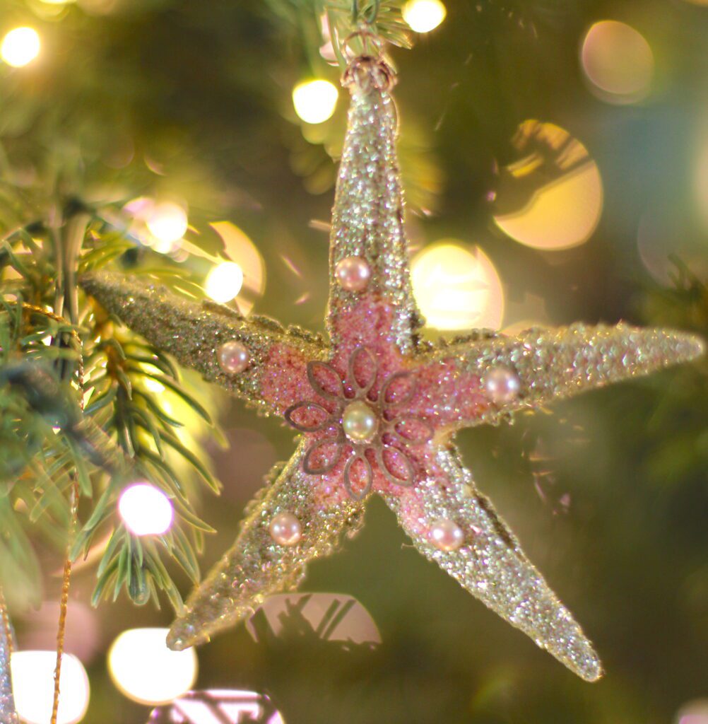 Starfish Christmas Ornament