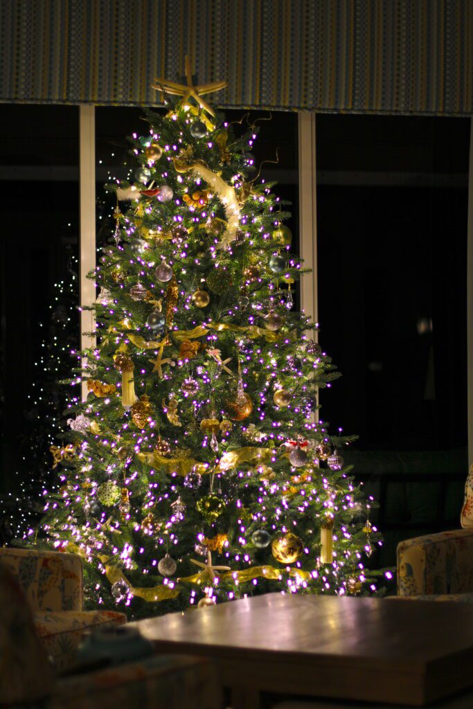 Decorated Christmas tree lit up at night