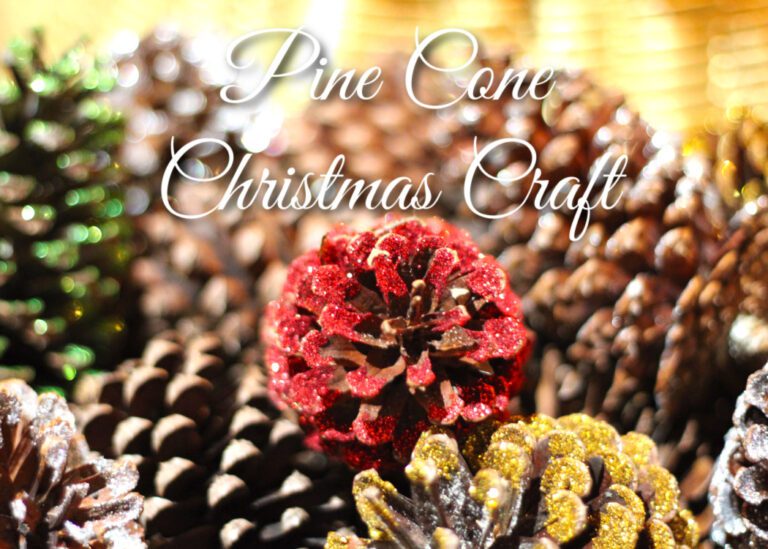 Pine Cone Christmas craft decorations
