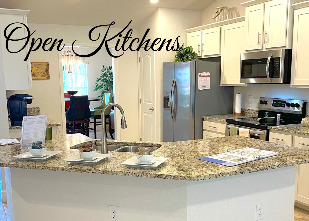 Open Kitchen & the kitchen island