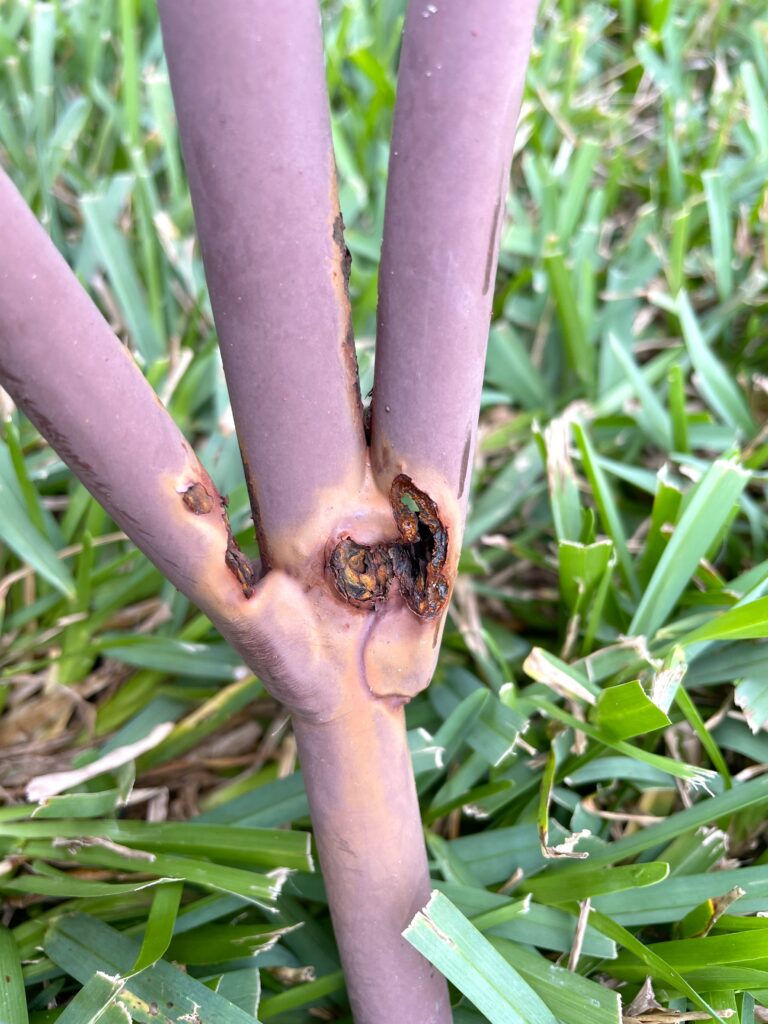 how to get rust off of metal before