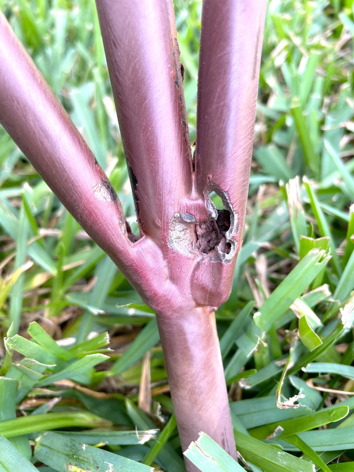 How to Get Rust Off of Metal Furniture & Fix It Craft Klatch