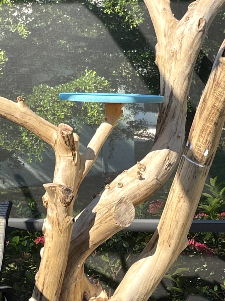 Aqua platform on cat tree diy