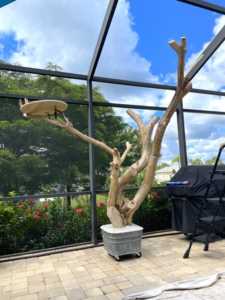 All the limbs attached to the cat tree diy