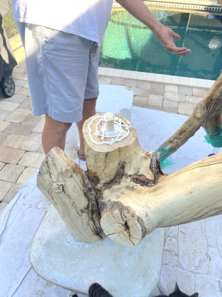 dowel rod sticking out of tree trunk with construction adhesive and glue