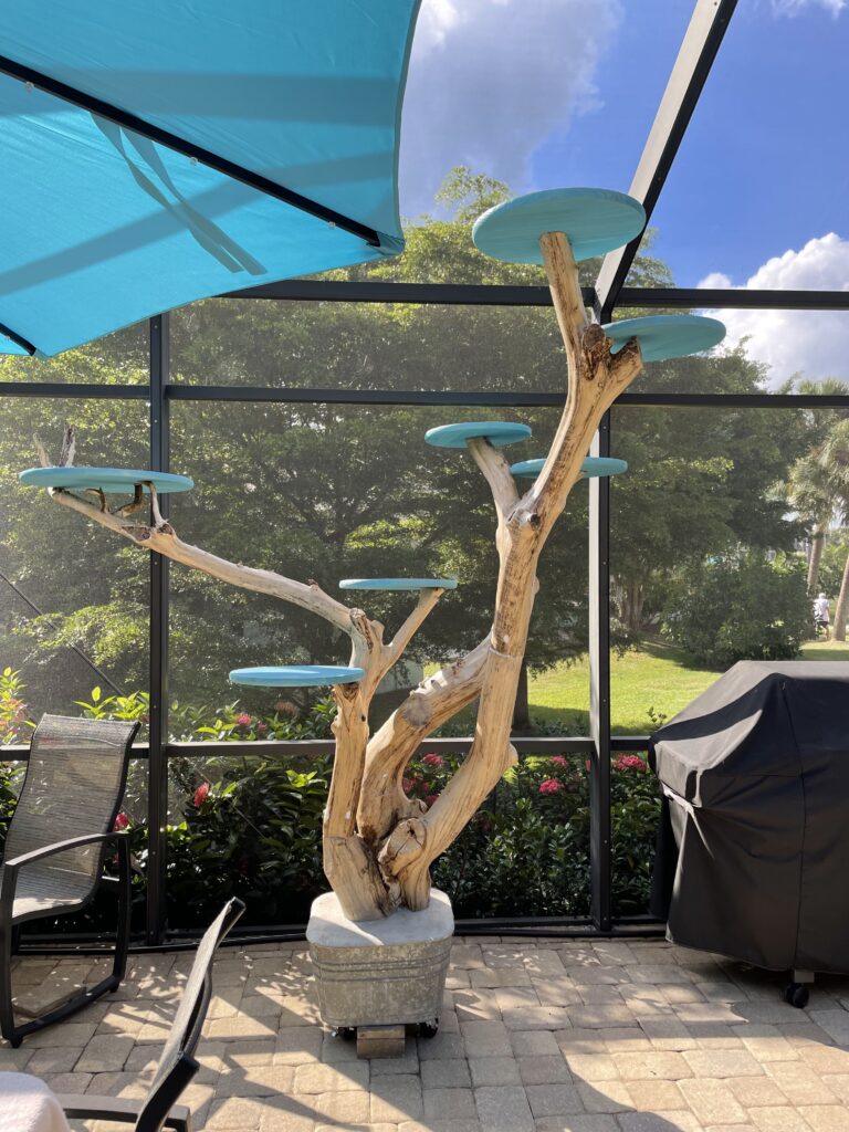 Cat tree DIY with aqua platforms attached