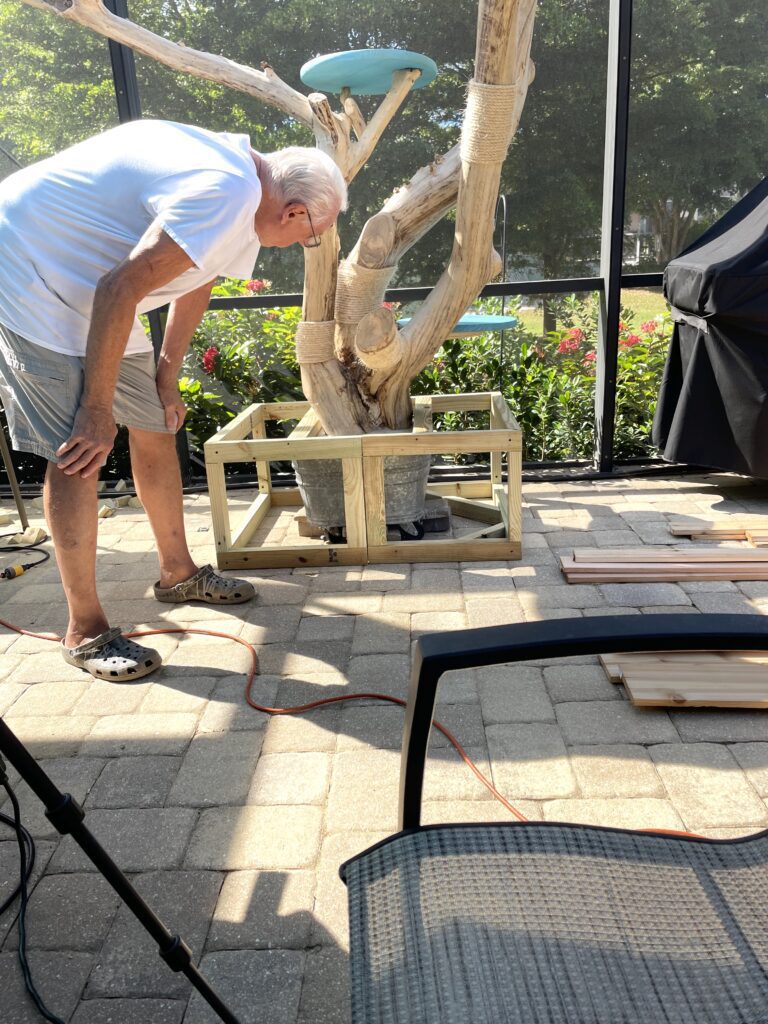 Dad framing the box around the cat tree