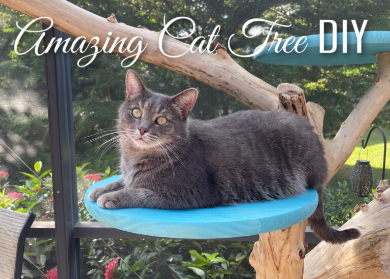 Outdoor Cat Tree DIY Cat tree that looks like a real tree