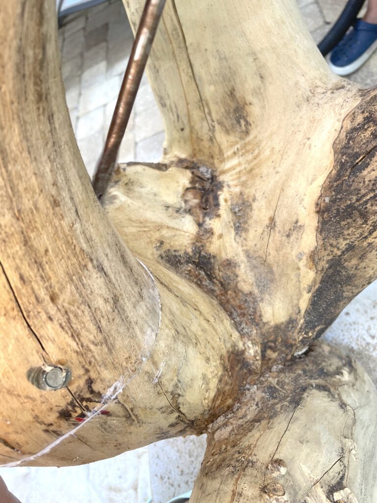 bolts driven down to connect the limbs
