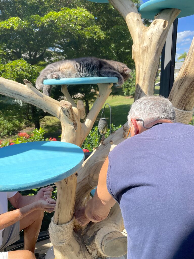 cat tree diy | Grayson kept a very close eye on the boys to make sure they were putting the sisal rope on the cat tree properly
