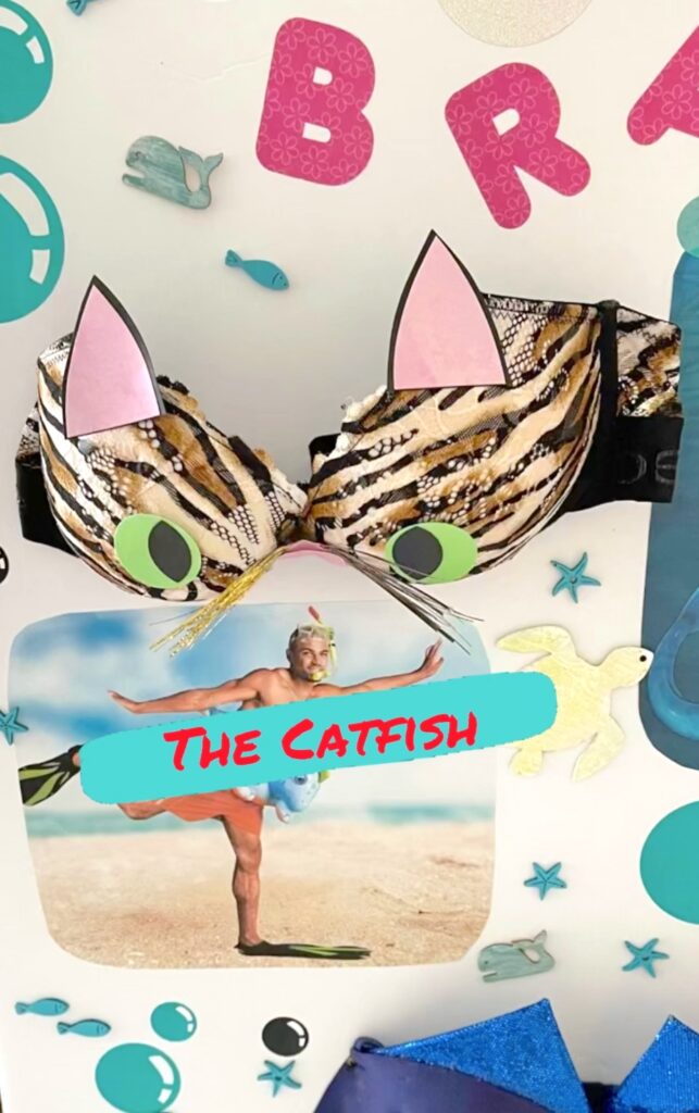 Catfish bra for bra pong